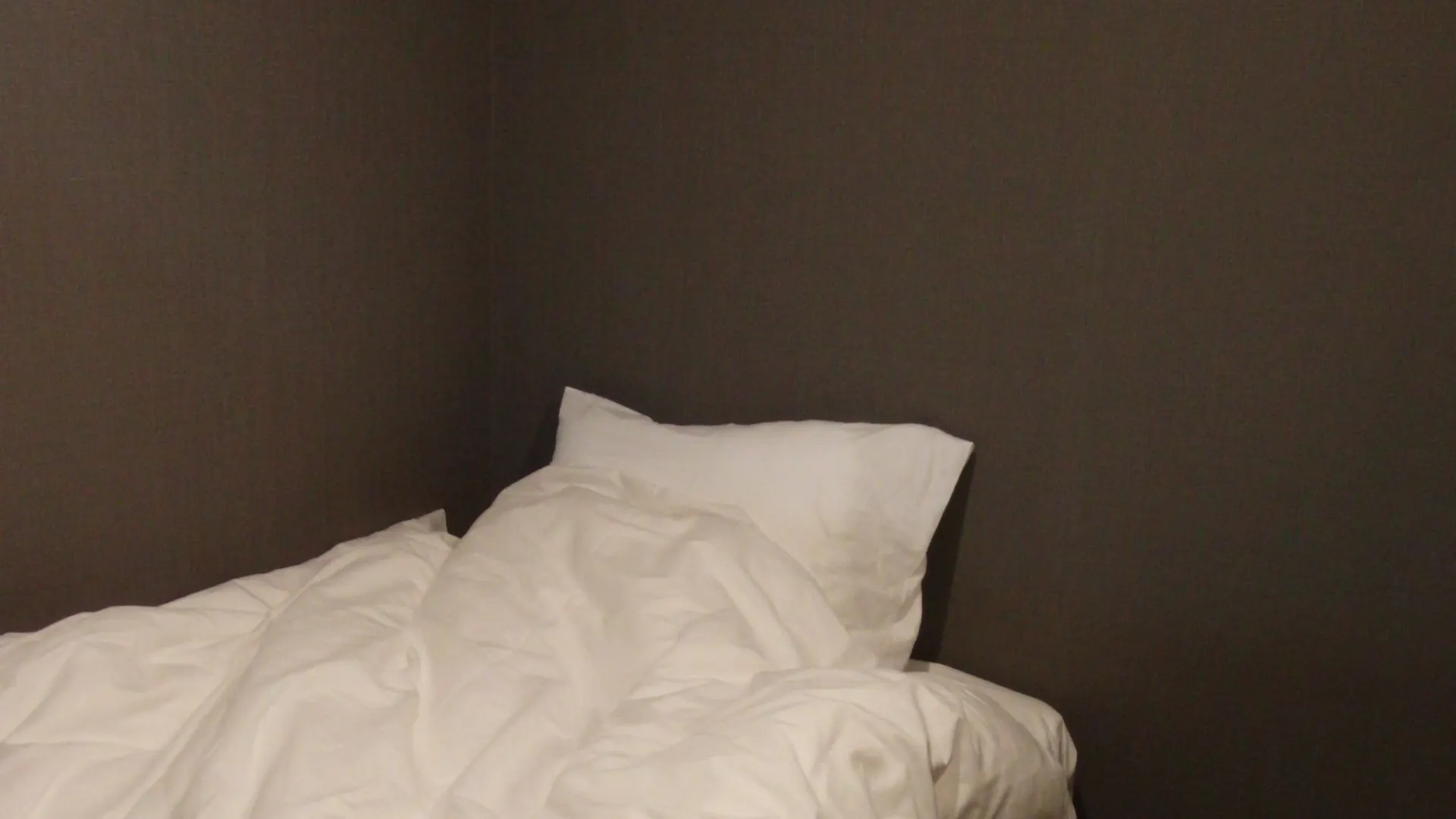 Hotel Ginza7 Tokio